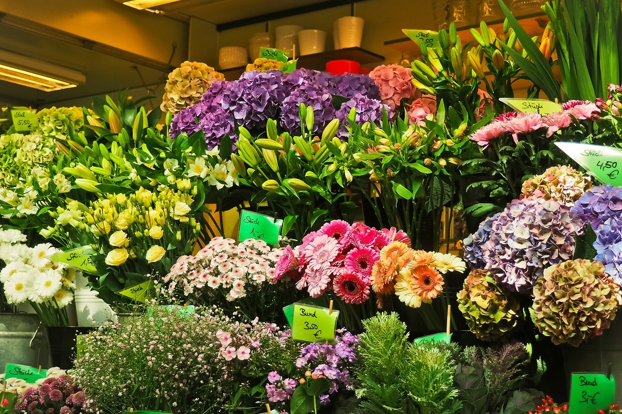 Сезонность цветов - почему некоторых цветов не бывает в наличии в магазинах? (FloraShop.KZ)