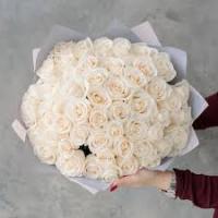 Букет из 51 белой розы 